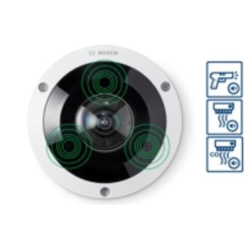 Licenza elettronica 1 anno - Audio Analitica....